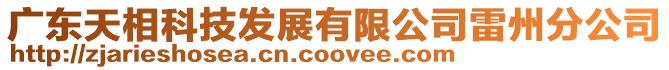 廣東天相科技發展有限公司雷州分公司
