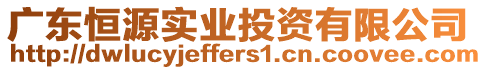 广东恒源实业投资有限公司