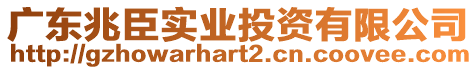 廣東兆臣實(shí)業(yè)投資有限公司