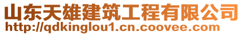 山東天雄建筑工程有限公司