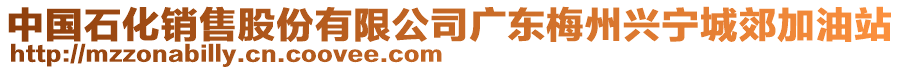 中國石化銷售股份有限公司廣東梅州興寧城郊加油站