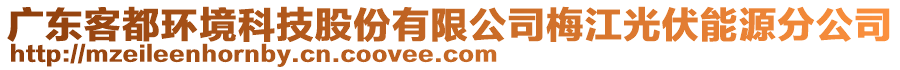 廣東客都環(huán)境科技股份有限公司梅江光伏能源分公司