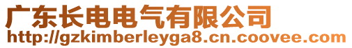 廣東長電電氣有限公司