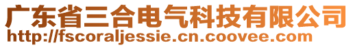 廣東省三合電氣科技有限公司