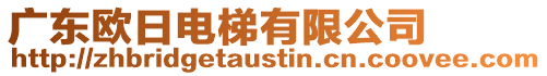 廣東歐日電梯有限公司