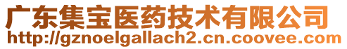 廣東集寶醫(yī)藥技術(shù)有限公司