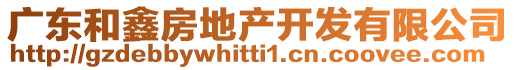 廣東和鑫房地產(chǎn)開(kāi)發(fā)有限公司