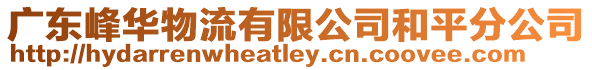 廣東峰華物流有限公司和平分公司