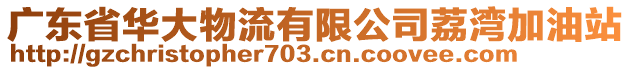 廣東省華大物流有限公司荔灣加油站