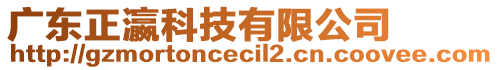 廣東正瀛科技有限公司