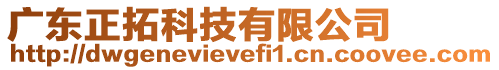 廣東正拓科技有限公司