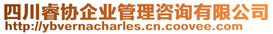 四川睿協(xié)企業(yè)管理咨詢有限公司