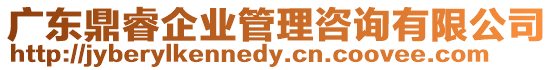 廣東鼎睿企業(yè)管理咨詢有限公司