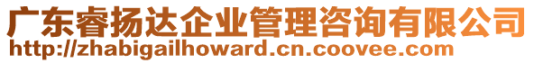 廣東睿揚(yáng)達(dá)企業(yè)管理咨詢有限公司