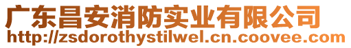 廣東昌安消防實業(yè)有限公司