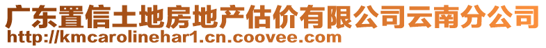 廣東置信土地房地產估價有限公司云南分公司