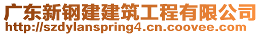 廣東新鋼建建筑工程有限公司