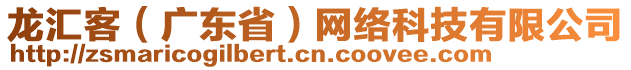 龍匯客（廣東省）網(wǎng)絡(luò)科技有限公司