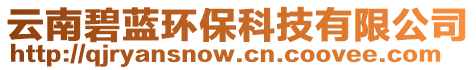云南碧藍環保科技有限公司