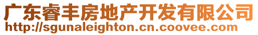 廣東睿豐房地產(chǎn)開發(fā)有限公司