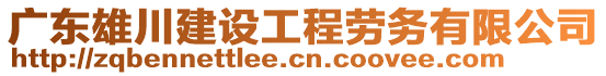 廣東雄川建設(shè)工程勞務(wù)有限公司