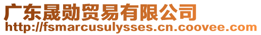 廣東晟勛貿易有限公司