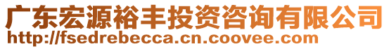 廣東宏源裕豐投資咨詢有限公司