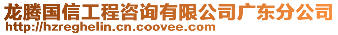 龍騰國(guó)信工程咨詢有限公司廣東分公司