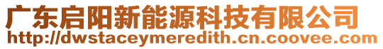 廣東啟陽新能源科技有限公司