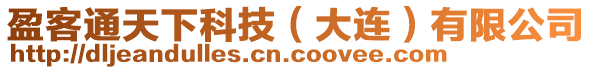 盈客通天下科技（大連）有限公司