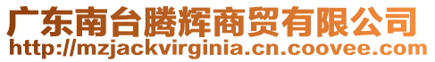 廣東南臺騰輝商貿有限公司