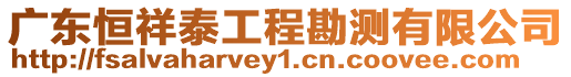 廣東恒祥泰工程勘測(cè)有限公司