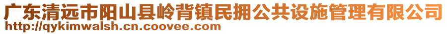 廣東清遠(yuǎn)市陽(yáng)山縣嶺背鎮(zhèn)民擁公共設(shè)施管理有限公司