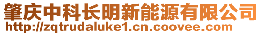 肇庆中科长明新能源有限公司