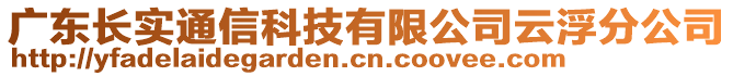 廣東長(zhǎng)實(shí)通信科技有限公司云浮分公司