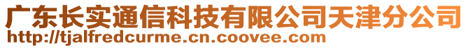 廣東長實通信科技有限公司天津分公司