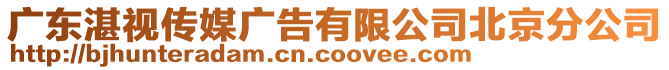 廣東湛視傳媒廣告有限公司北京分公司