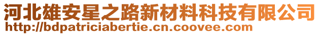 河北雄安星之路新材料科技有限公司