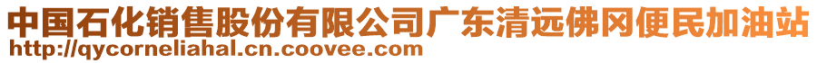 中國石化銷售股份有限公司廣東清遠(yuǎn)佛岡便民加油站