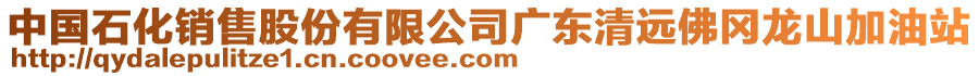 中國(guó)石化銷售股份有限公司廣東清遠(yuǎn)佛岡龍山加油站