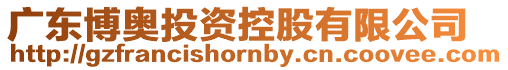 廣東博奧投資控股有限公司