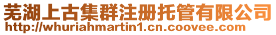 蕪湖上古集群注冊托管有限公司