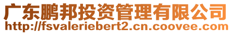 廣東鵬邦投資管理有限公司