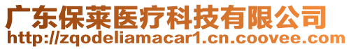 廣東保萊醫(yī)療科技有限公司