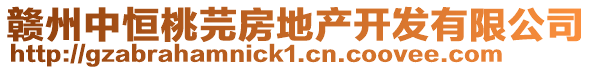 贛州中恒桃芫房地產開發有限公司