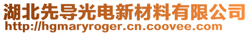 湖北先導(dǎo)光電新材料有限公司