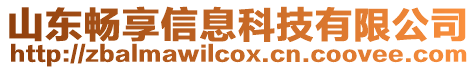 山東暢享信息科技有限公司