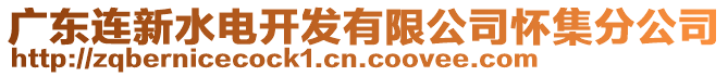 廣東連新水電開發(fā)有限公司懷集分公司