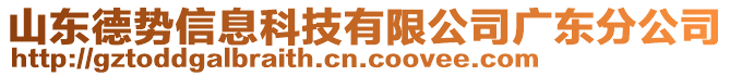 山東德勢信息科技有限公司廣東分公司