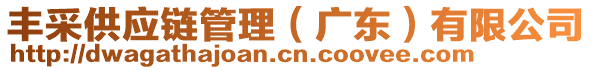 豐采供應(yīng)鏈管理（廣東）有限公司